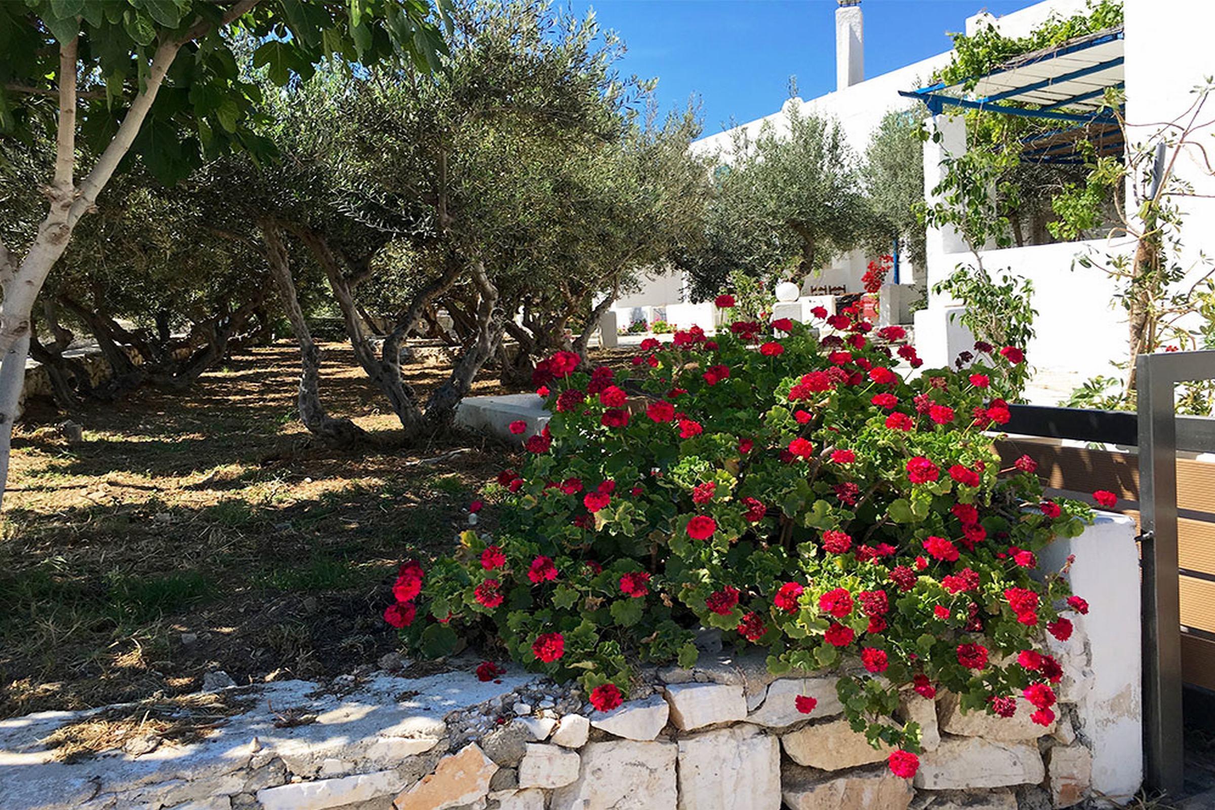 Amaryllis Beach Hotel Chrisi Akti  Buitenkant foto